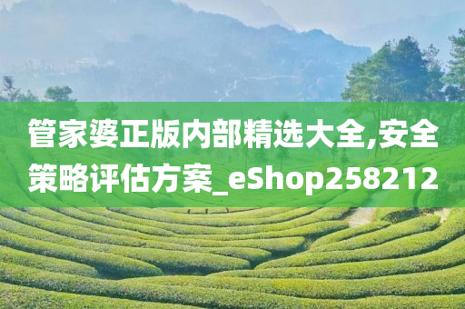 管家婆正版内部精选大全,安全策略评估方案_eShop258212