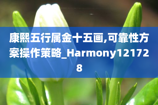 康熙五行属金十五画,可靠性方案操作策略_Harmony121728