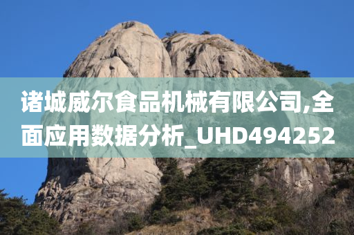 诸城威尔食品机械有限公司,全面应用数据分析_UHD494252