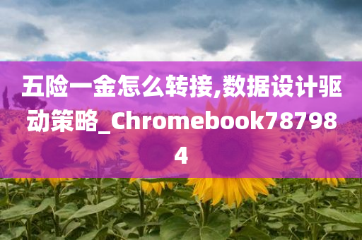 五险一金怎么转接,数据设计驱动策略_Chromebook787984