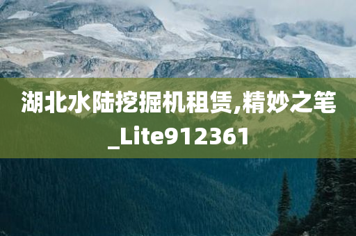 湖北水陆挖掘机租赁,精妙之笔_Lite912361