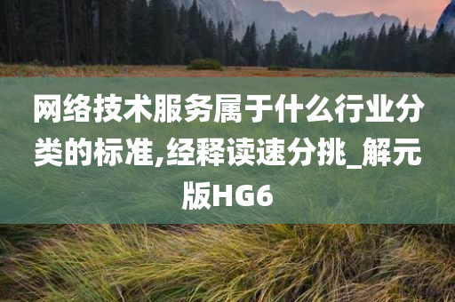 网络技术服务属于什么行业分类的标准,经释读速分挑_解元版HG6