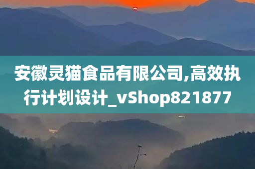 安徽灵猫食品有限公司,高效执行计划设计_vShop821877