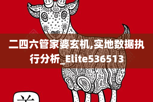 二四六管家婆玄机,实地数据执行分析_Elite536513