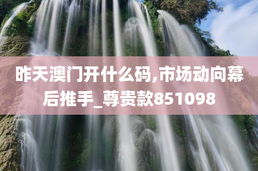 昨天澳门开什么码,市场动向幕后推手_尊贵款851098