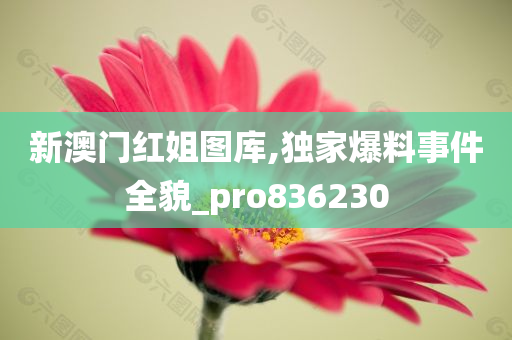 新澳门红姐图库,独家爆料事件全貌_pro836230