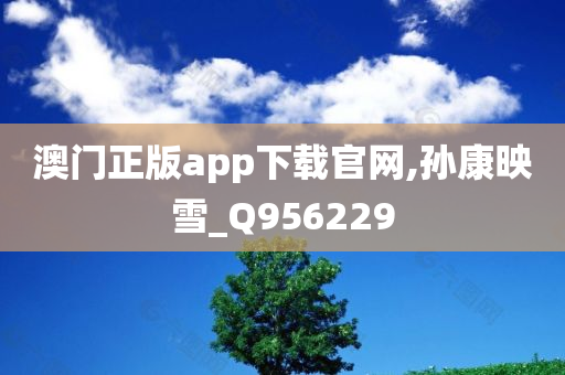 澳门正版app下载官网,孙康映雪_Q956229