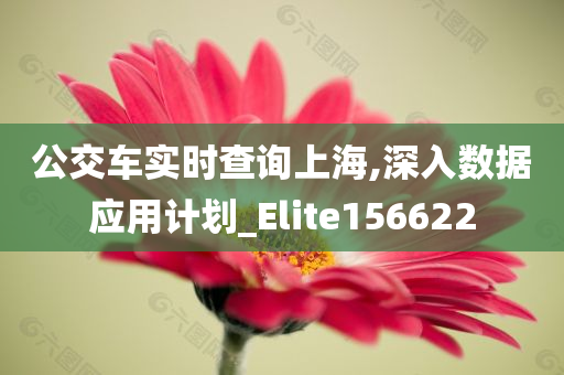 公交车实时查询上海,深入数据应用计划_Elite156622