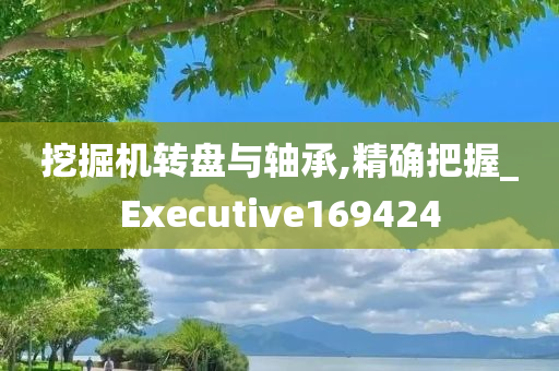 挖掘机转盘与轴承,精确把握_Executive169424