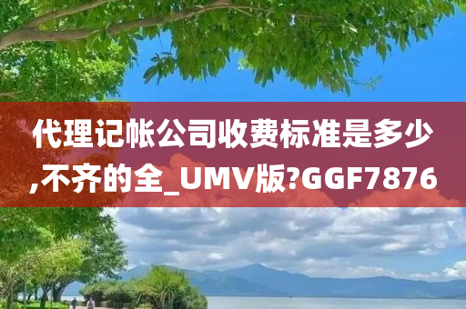 代理记帐公司收费标准是多少,不齐的全_UMV版?GGF7876