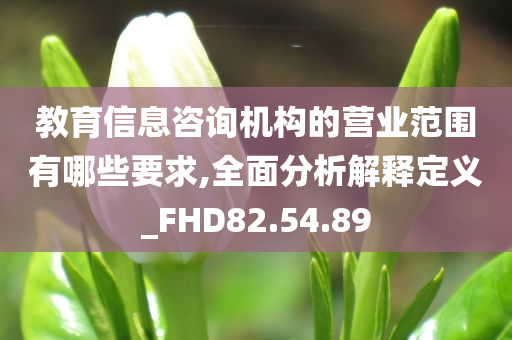 教育信息咨询机构的营业范围有哪些要求,全面分析解释定义_FHD82.54.89