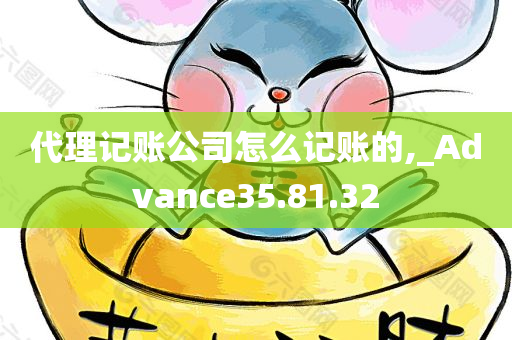 代理记账公司怎么记账的,_Advance35.81.32