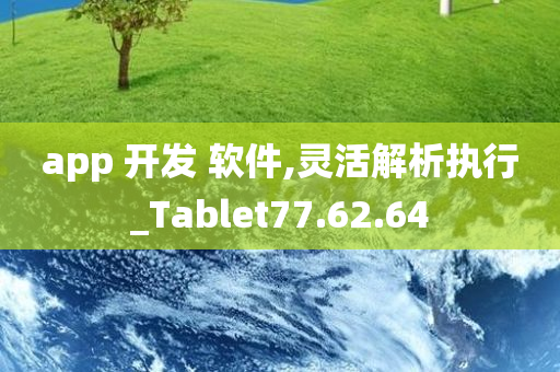 app 开发 软件,灵活解析执行_Tablet77.62.64