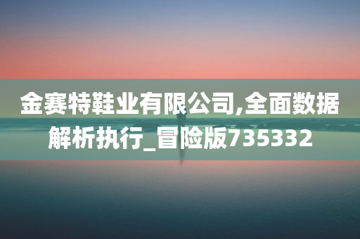 金赛特鞋业有限公司,全面数据解析执行_冒险版735332