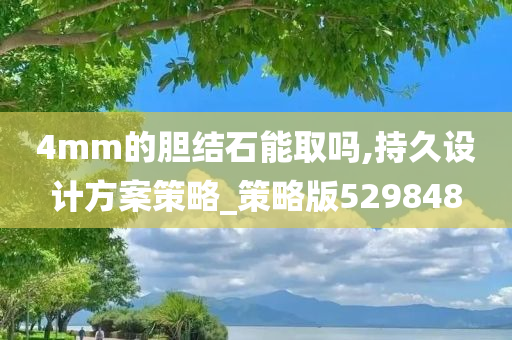 4mm的胆结石能取吗,持久设计方案策略_策略版529848