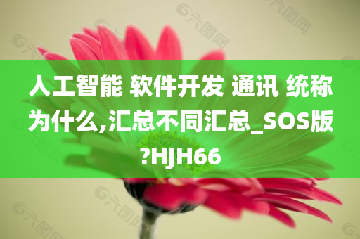 人工智能 软件开发 通讯 统称为什么,汇总不同汇总_SOS版?HJH66