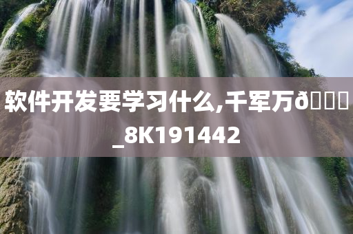 软件开发要学习什么,千军万🐎_8K191442