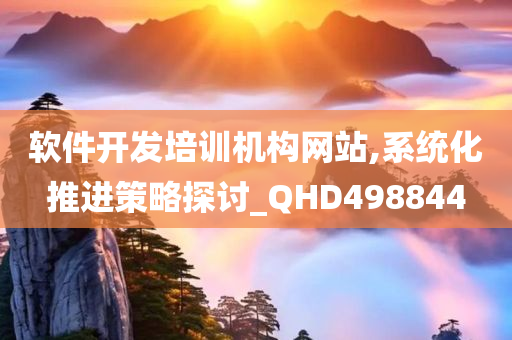 软件开发培训机构网站,系统化推进策略探讨_QHD498844