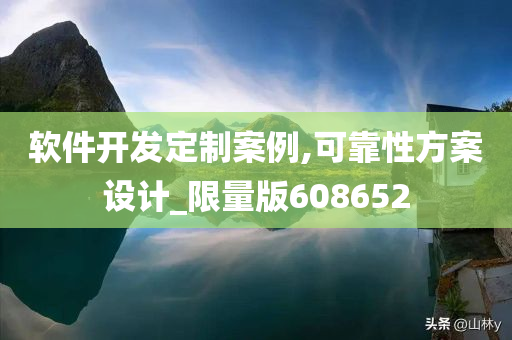 软件开发定制案例,可靠性方案设计_限量版608652