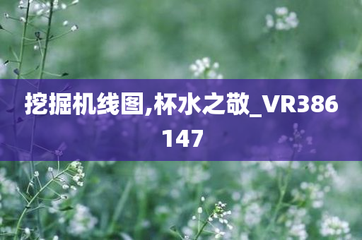 挖掘机线图,杯水之敬_VR386147