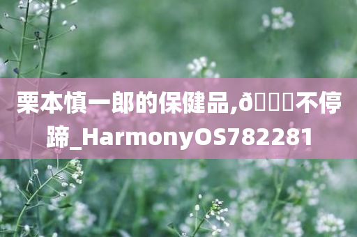 栗本慎一郎的保健品,🐎不停蹄_HarmonyOS782281