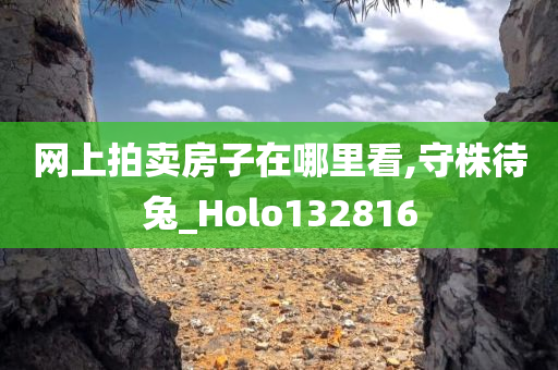 网上拍卖房子在哪里看,守株待兔_Holo132816