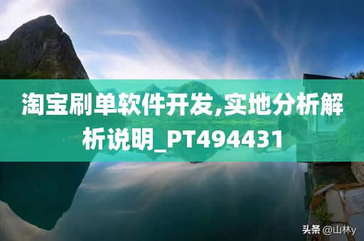 淘宝刷单软件开发,实地分析解析说明_PT494431