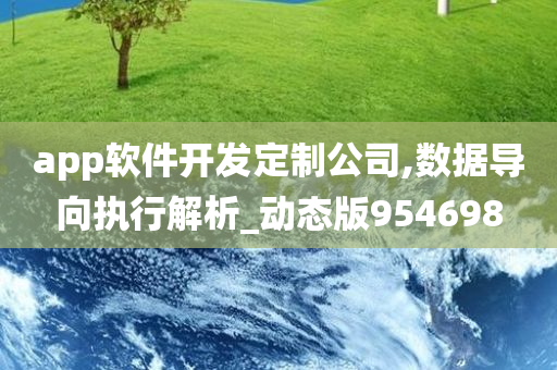 app软件开发定制公司,数据导向执行解析_动态版954698