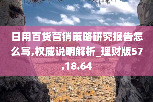 日用百货营销策略研究报告怎么写,权威说明解析_理财版57.18.64