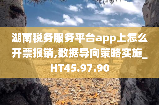 湖南税务服务平台app上怎么开票报销,数据导向策略实施_HT45.97.90