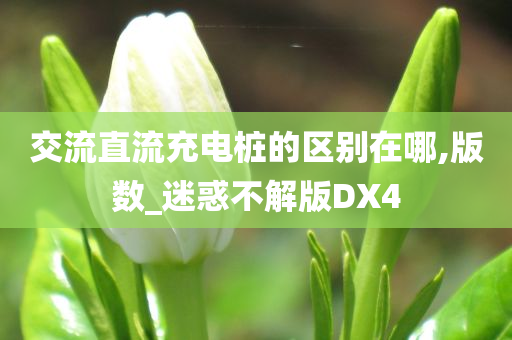 交流直流充电桩的区别在哪,版数_迷惑不解版DX4