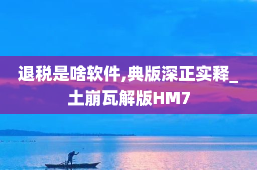 退税是啥软件,典版深正实释_土崩瓦解版HM7