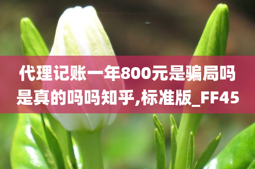 代理记账一年800元是骗局吗是真的吗吗知乎,标准版_FF45