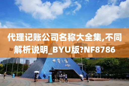 代理记账公司名称大全集,不同解析说明_BYU版?NF8786