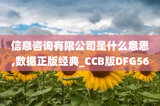 信息咨询有限公司是什么意思,数据正版经典_CCB版DFG56