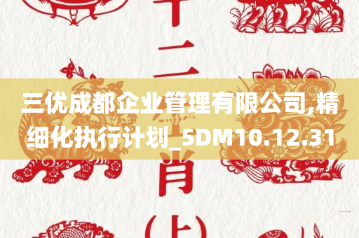 三优成都企业管理有限公司,精细化执行计划_5DM10.12.31