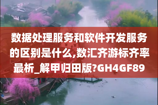 数据处理服务和软件开发服务的区别是什么,数汇齐游标齐率最析_解甲归田版?GH4GF89