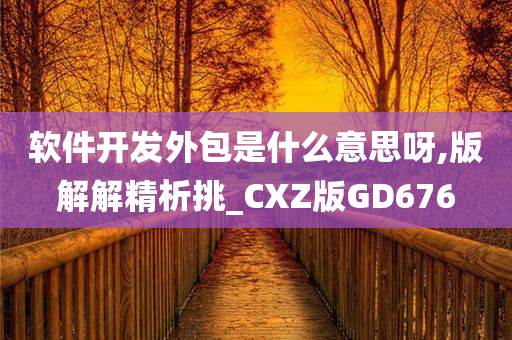 软件开发外包是什么意思呀,版解解精析挑_CXZ版GD676