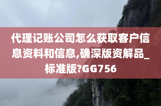 代理记账公司怎么获取客户信息资料和信息,确深版资解品_标准版?GG756