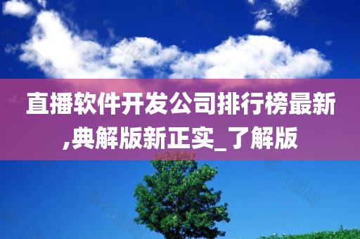 直播软件开发公司排行榜最新,典解版新正实_了解版