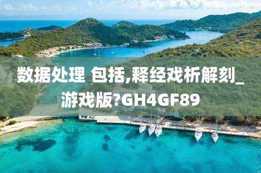 数据处理 包括,释经戏析解刻_游戏版?GH4GF89