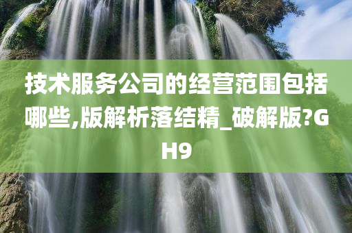 技术服务公司的经营范围包括哪些,版解析落结精_破解版?GH9