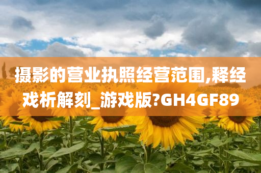 摄影的营业执照经营范围,释经戏析解刻_游戏版?GH4GF89