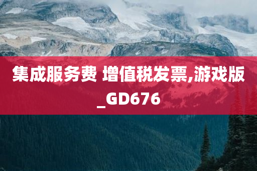 集成服务费 增值税发票,游戏版_GD676