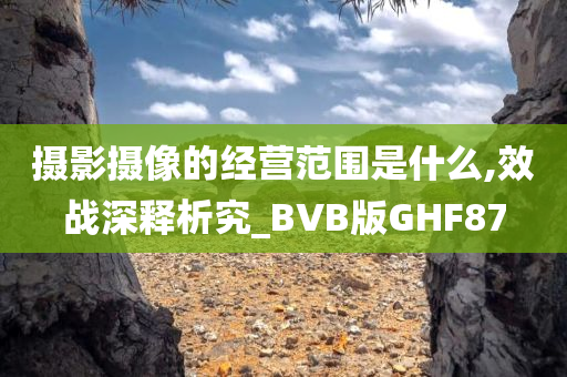 摄影摄像的经营范围是什么,效战深释析究_BVB版GHF87