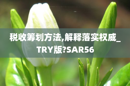 税收筹划方法,解释落实权威_TRY版?SAR56