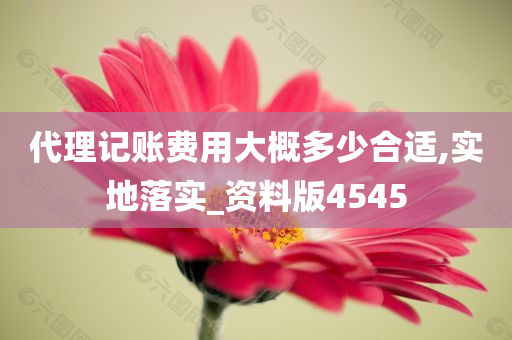 代理记账费用大概多少合适,实地落实_资料版4545