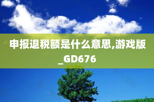 申报退税额是什么意思,游戏版_GD676