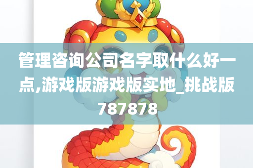 管理咨询公司名字取什么好一点,游戏版游戏版实地_挑战版787878