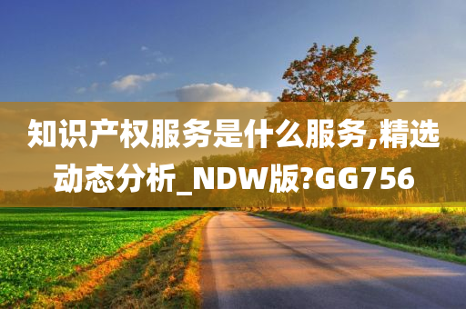 知识产权服务是什么服务,精选动态分析_NDW版?GG756